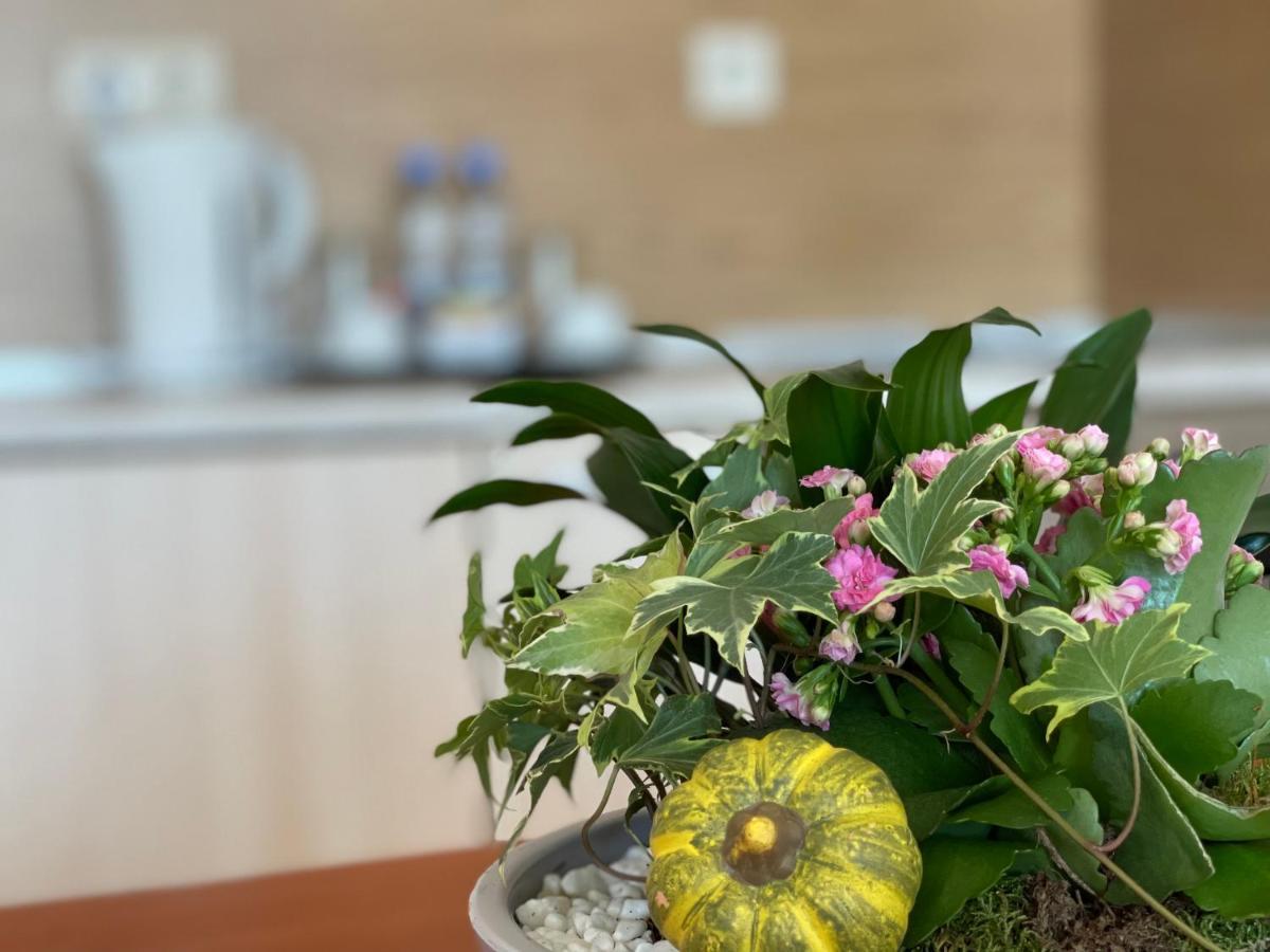 Adeona Wellness Hotel By Asteri Hotels Банско Екстериор снимка